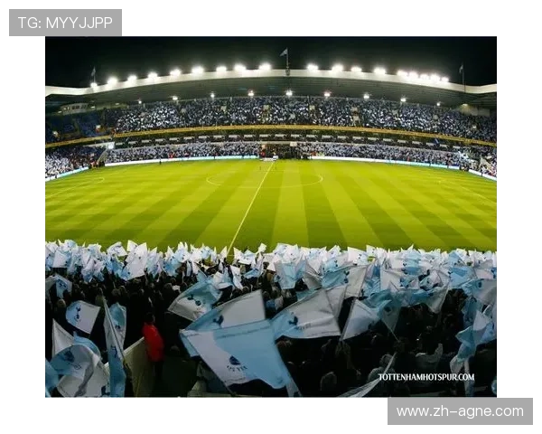 英超鳕鱼球队：英超联赛中被称为“鳕鱼”的球队